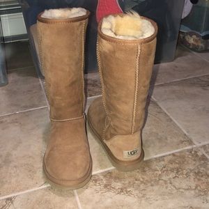 tall chestnut uggs